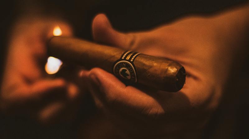 Hand holding a cigar