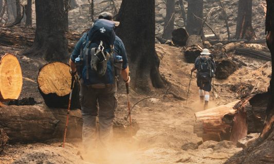 -two men hiking with hiking poles trekking