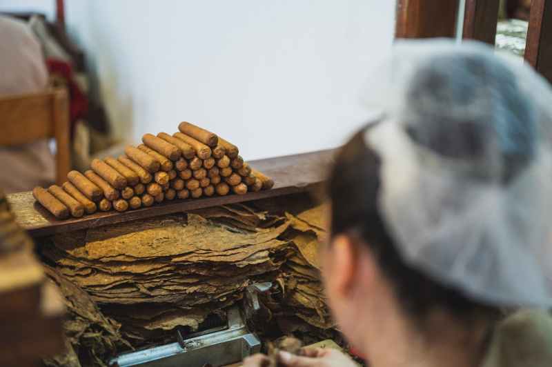 A woman working at a station with cigar wrappers and cigars