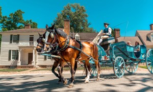 Williamsburg VA