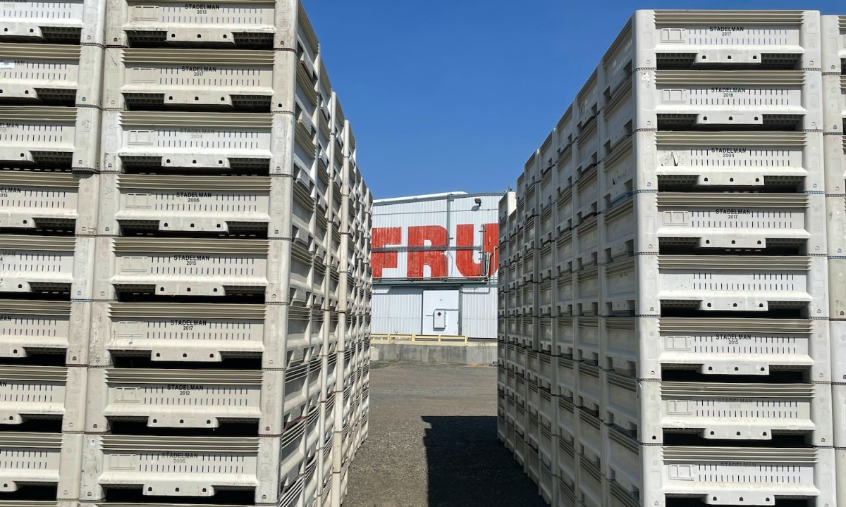 Yakima fruit bins.