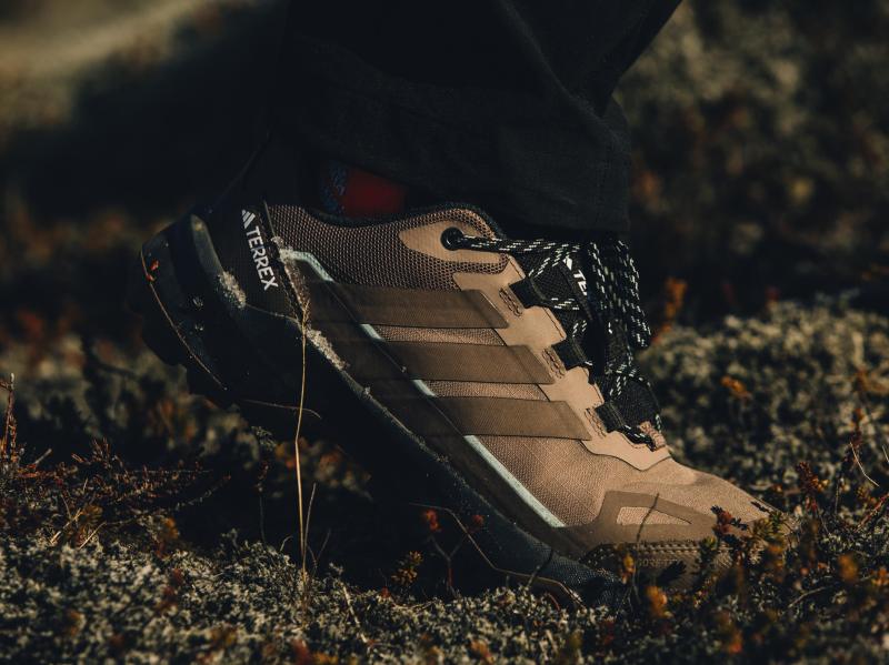 adidas hiking shoe