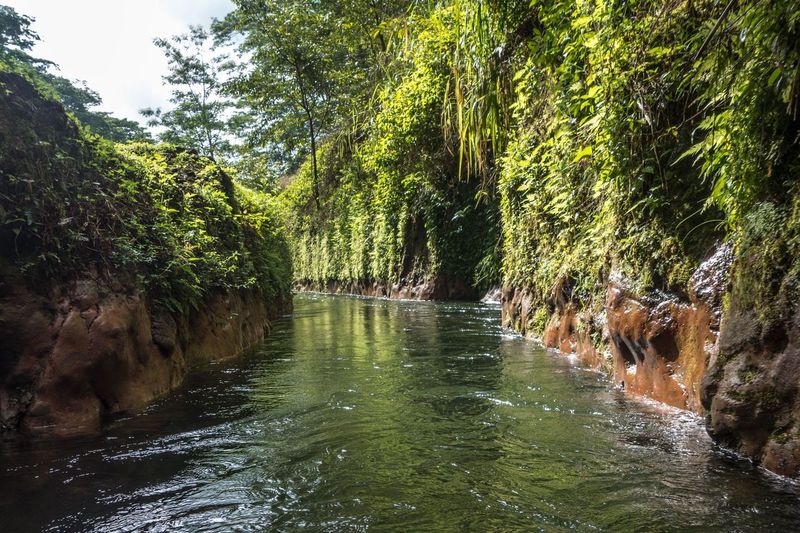 Kauai Backcountry Adventures