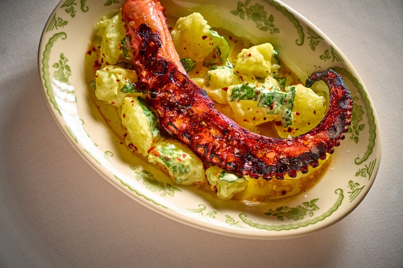 OPTO grilled Spanish with potatoes in bowl