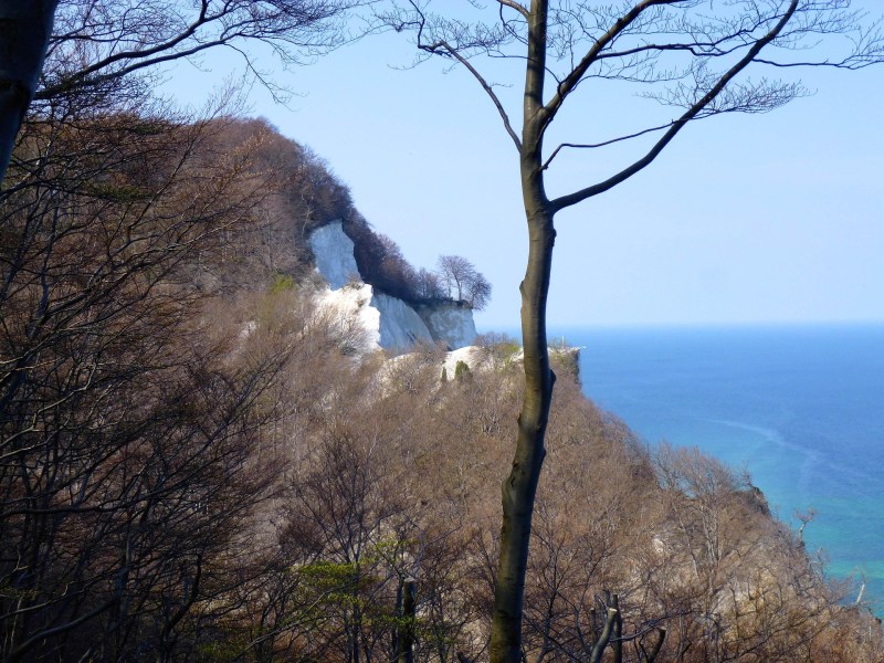 Møns Klint (Denmark)