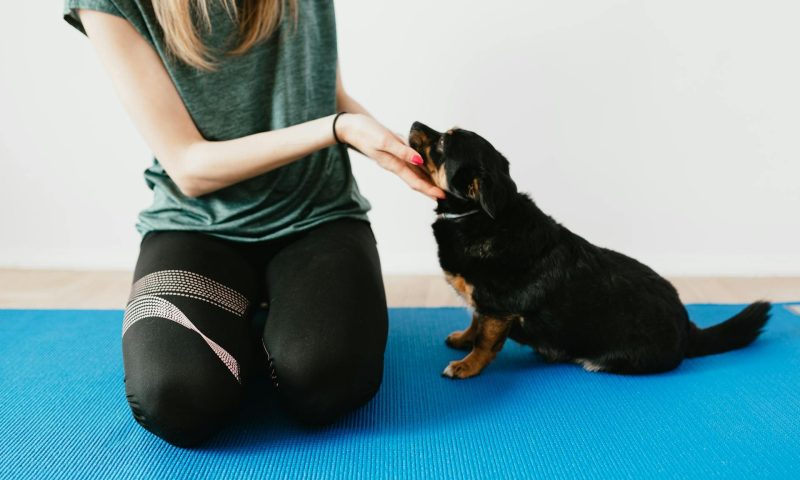 woman with puppy yoga