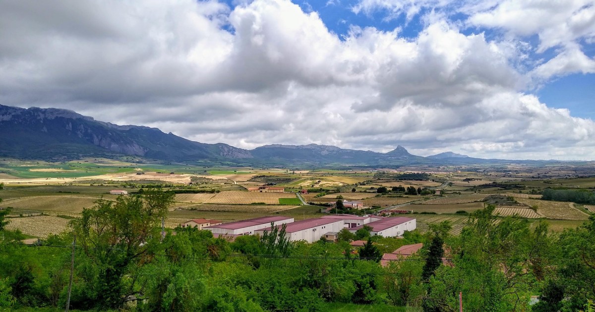 This Spanish region was just named Europe’s top wine tasting destination