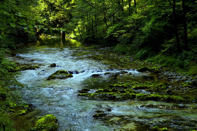 Triglav National Park