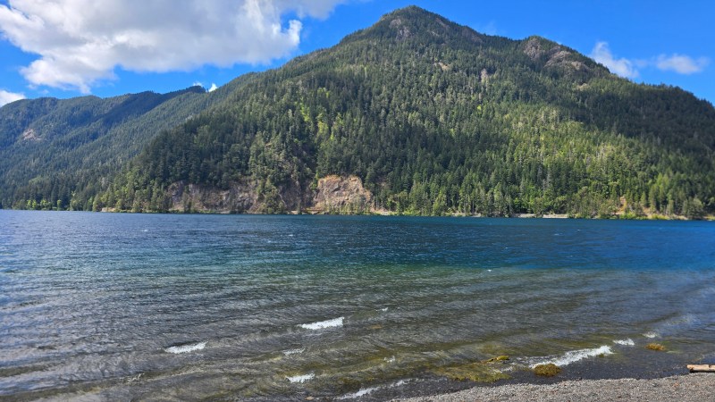 View of Lake Crescent from the beach