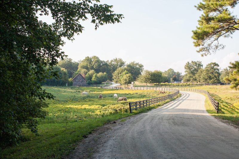 Serenbe street in summer