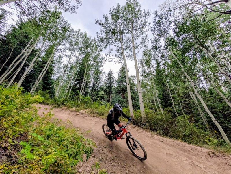 Snowmass Bike Park aspens