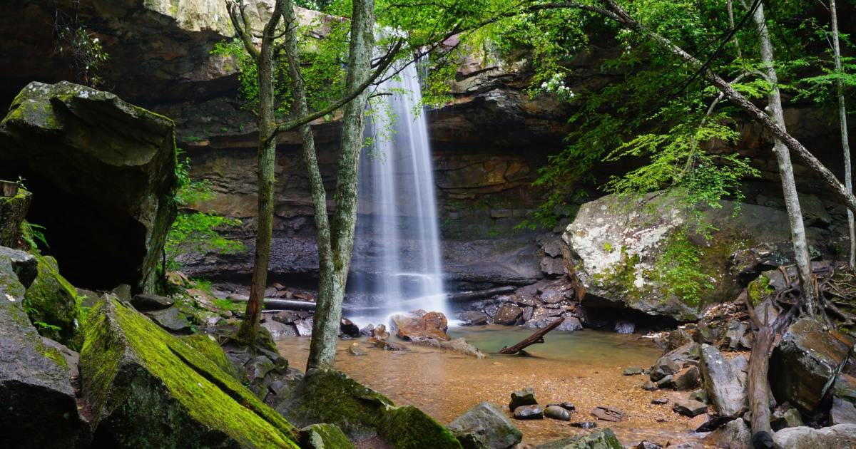 These 2025 state park picks offer big beauty for a small budget