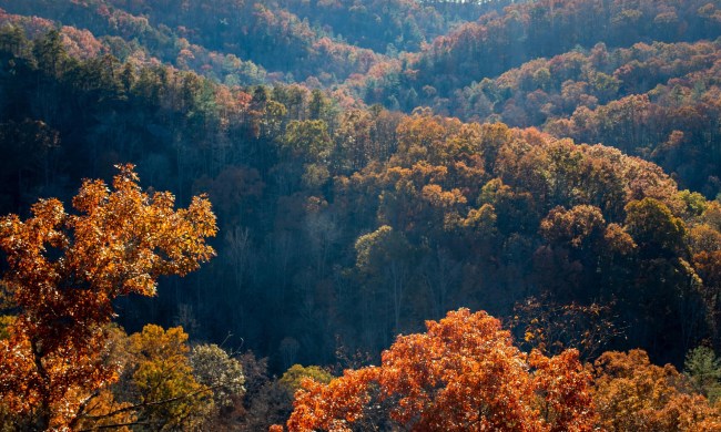 Asheville