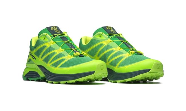 pair of feid salomon sneakers