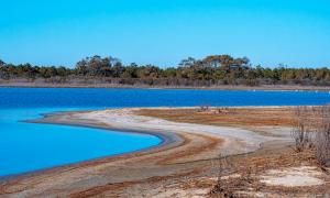 Chincoteague