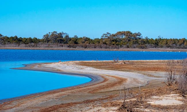 Chincoteague