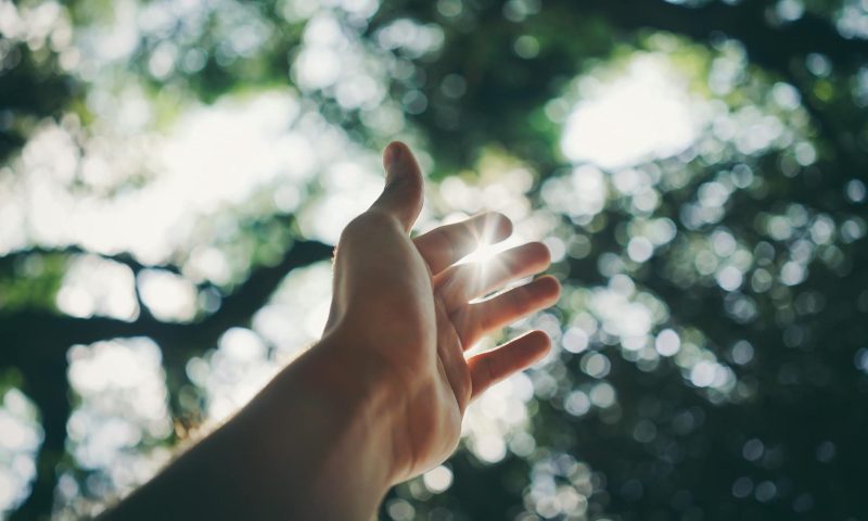hand
