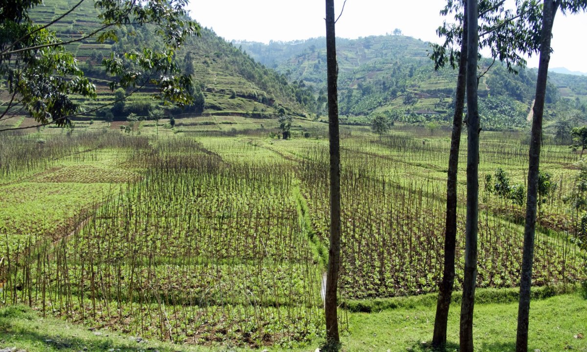 Rwanda