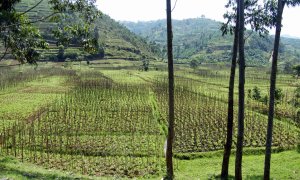 Rwanda