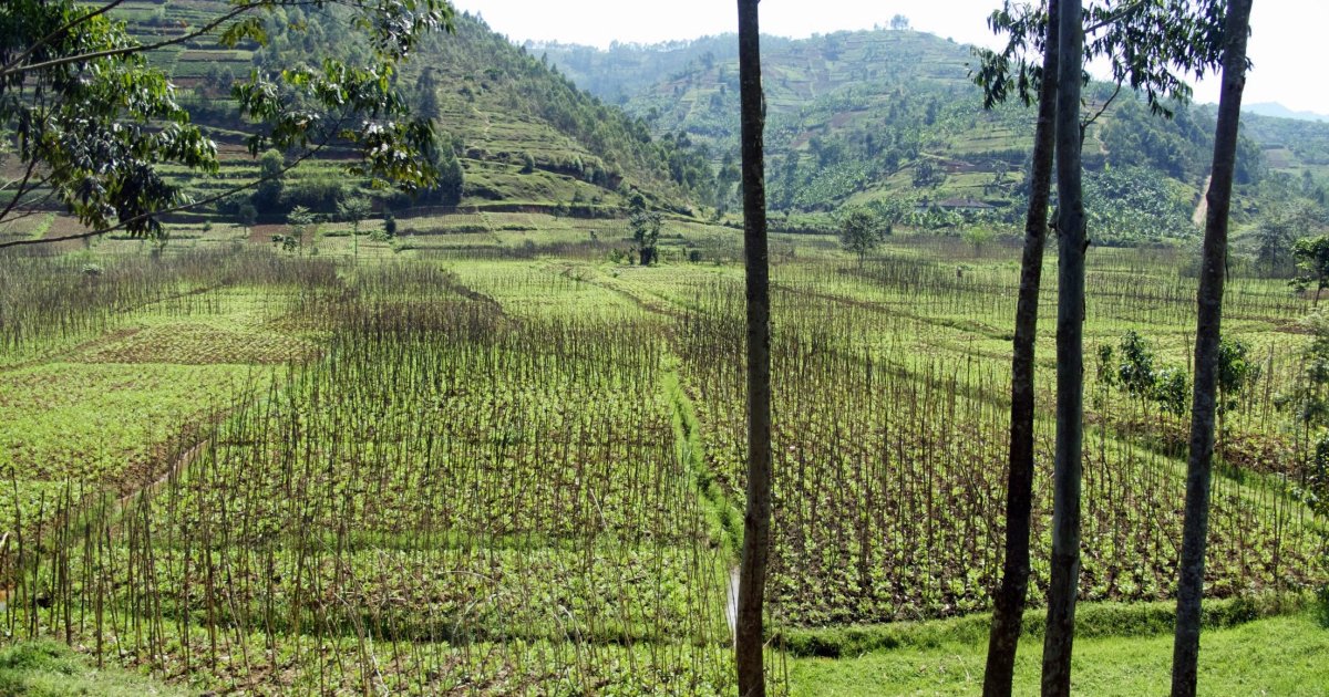 The most expensive vacation destination of 2025 isn’t where you think