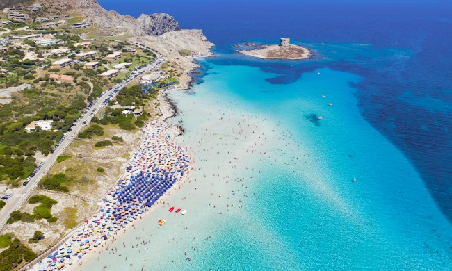 La Pelosa