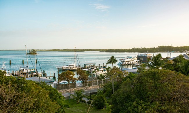 Boats in Bimini