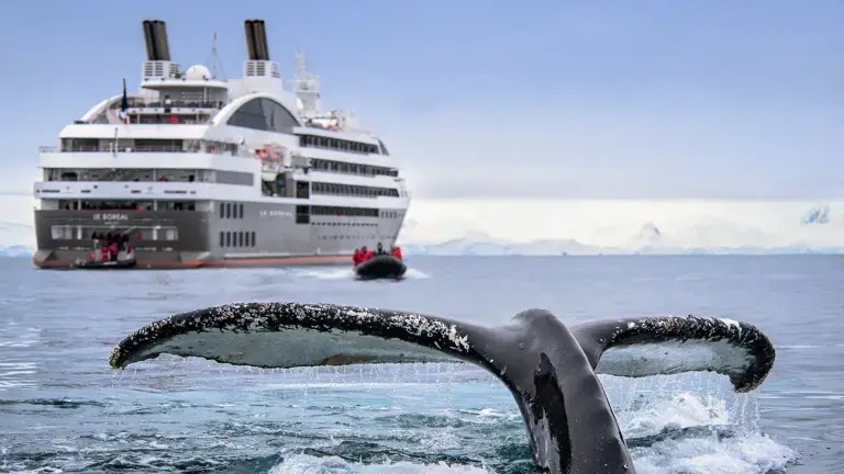 Ponant