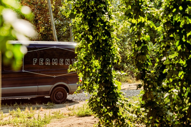 Ferment gathering fresh hops.