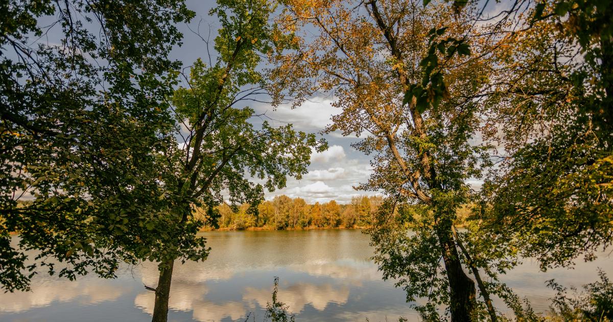 The best times to book flights and hotels for fall, according to Expedia